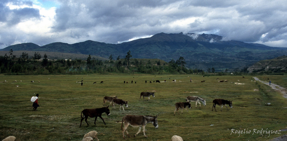 Imagen 25 de la galería de Ecuador